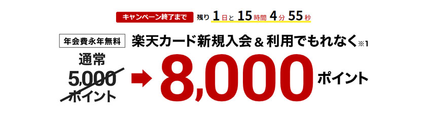 楽天カードに入会するなら、不定期に実施される8,000円分のポイントキャンペーンを見逃すな！！